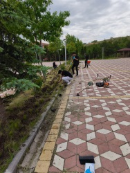 bozok üniversitesi