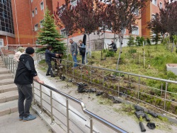 bozok üniversitesi